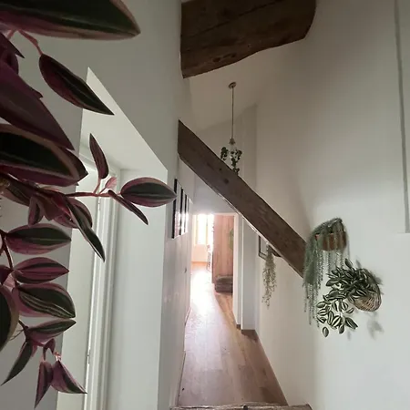 Louis Xiii, Le Somail. Appartement