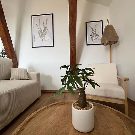 Appartement Louis Xiii, Le Somail. *